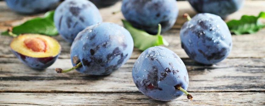 Plums for anemia and for strength immunity